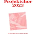 Projektchor23 Flyer Front (Foto: Stephan Giger)